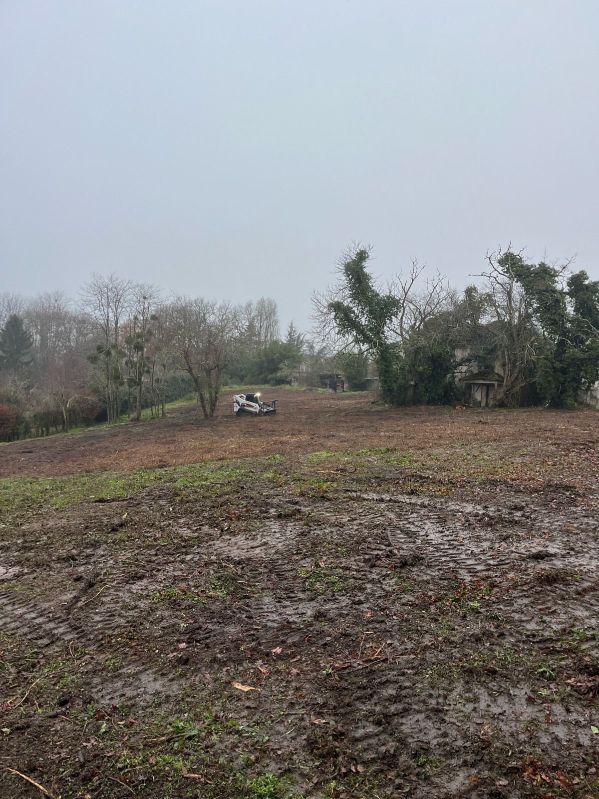 Broyage forestier sur la commune de Latresne en Gironde proche de Bordeaux 