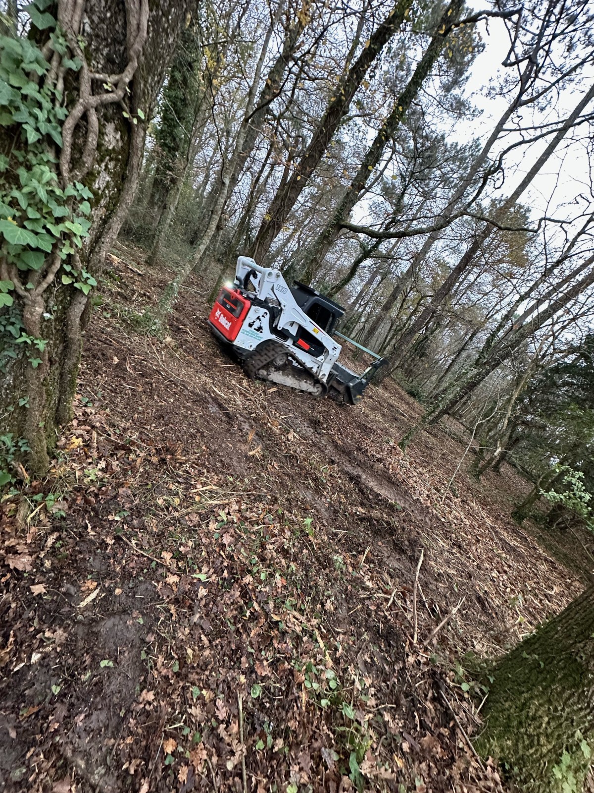 Défrichage de terrain et broyage sur la commune de Lignan de Bordeaux 