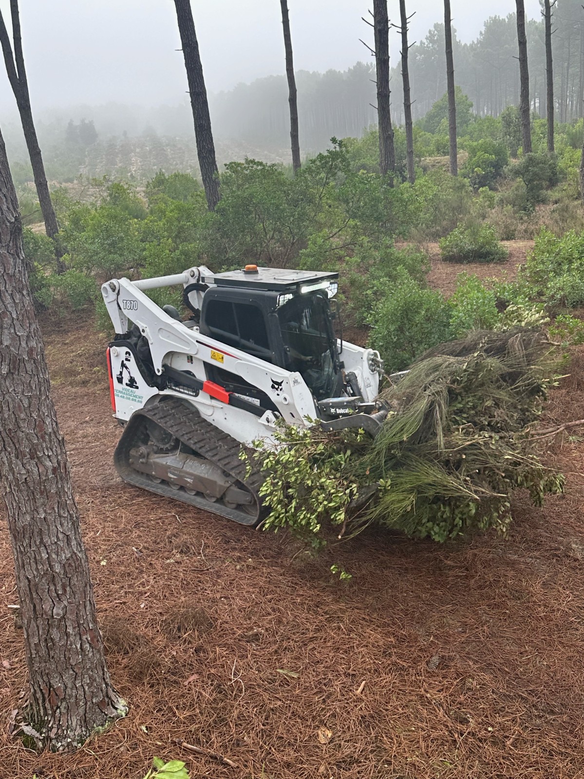 Entretien forestier en Gironde dessouchage et broyage forestier