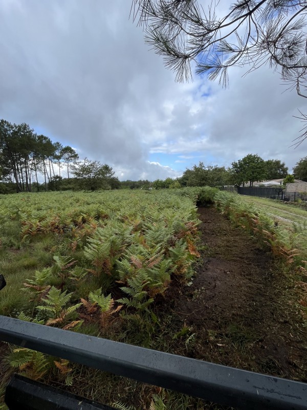 Broyage forestier à Saint Aubin de Médoc