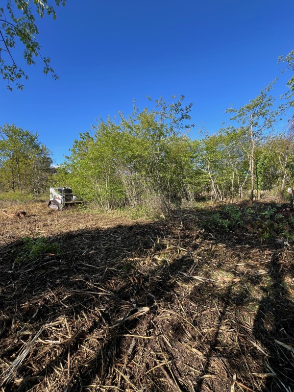 Boyage Forestier obligation légal de debrouissaillement sur saint Médard en Jalles 