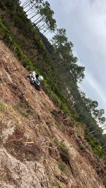 Travaux forestier en Gironde, renforcement digue et plage 