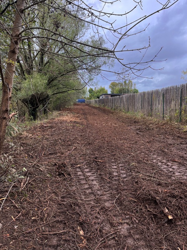 Broyage forestier et nettoyage de terrain à Latresne en Gironde