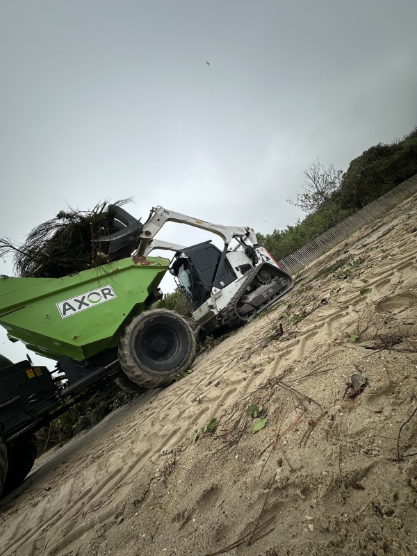 Entreprise de Broyage forestier proche de bordeaux  et en Gironde .