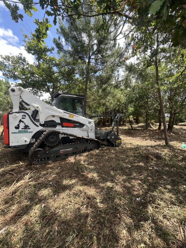 Location chargeuse compacte à chenille pour broyage forestier à La Teste-de-buch en Gironde