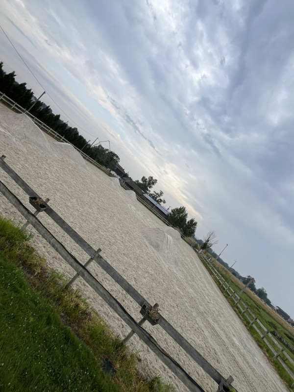 Carrière équestre sur Bordeaux et en
Gironde .