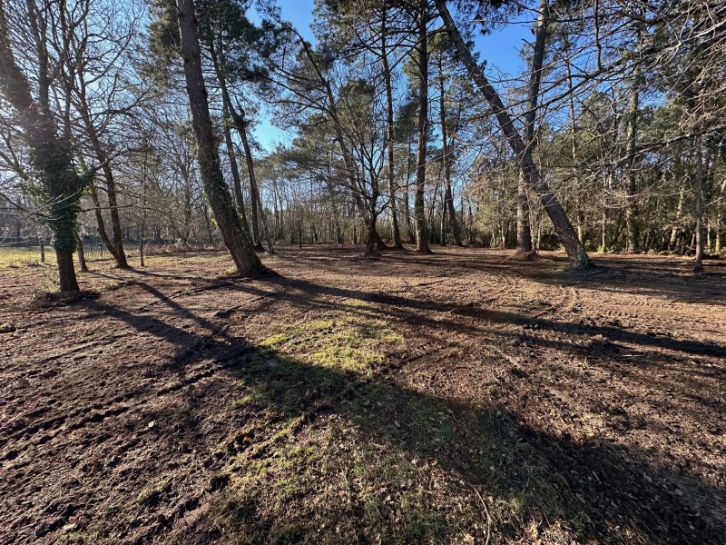Entretien forestier sur la commune de Saint aubin de médoc et broyage forestier . 