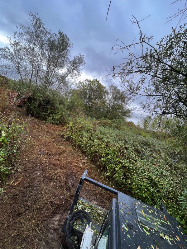 Broyage forestier et nettoyage de terrain à Latresne en Gironde