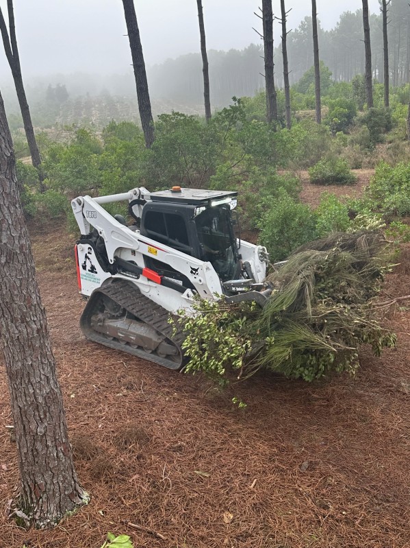 Entreprise de Broyage forestier proche de bordeaux  et en Gironde .
