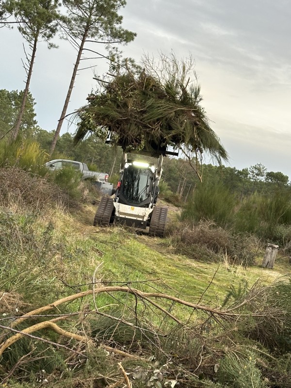 Travaux forestier en Gironde, renforcement digue et plage 