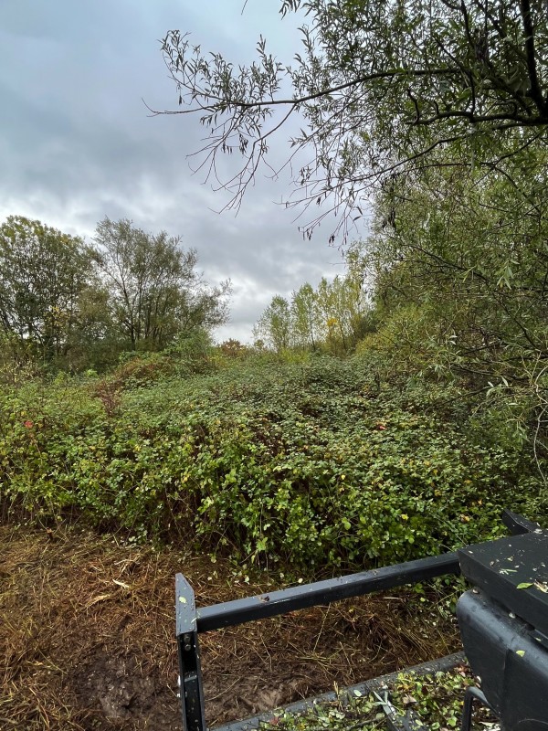 Broyage forestier et nettoyage de terrain à Latresne en Gironde