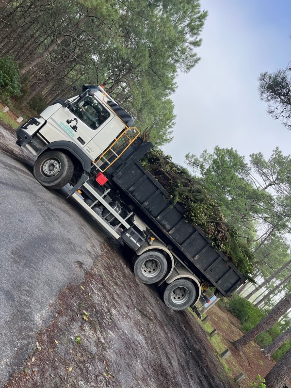 Entretien forestier en Gironde dessouchage et broyage forestier