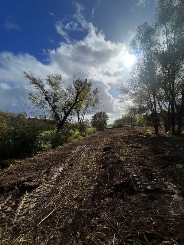 Broyage Forestier d'un terrain à Bordeaux en Gironde
