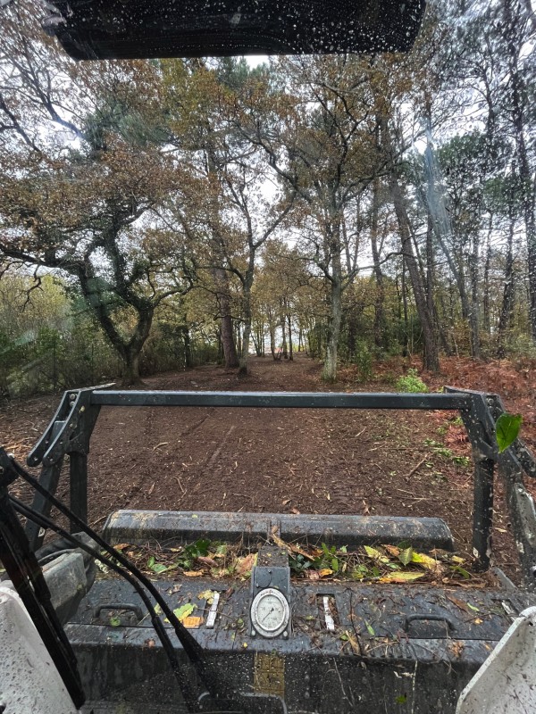 Broyage Forestier sur la commune de Cénac en Gironde proche de bordeaux