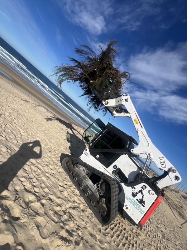 Travaux forestier en Gironde, renforcement digue et plage 