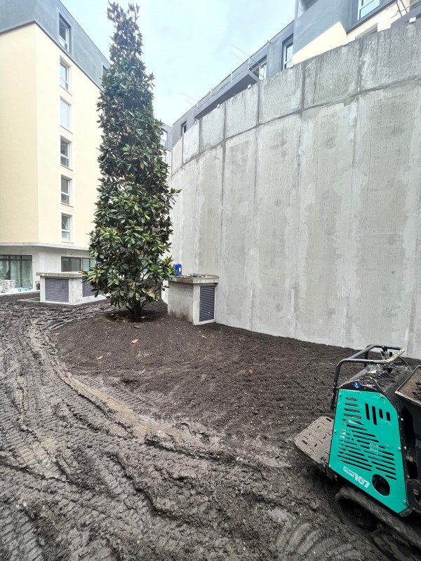 Apport de terre végétale et nivellement sur un toit terrasse à Cenon proche de Bordeaux