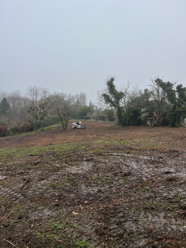 Broyage forestier sur la commune de Latresne en Gironde proche de Bordeaux 