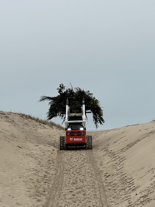 Entretien forestier en Gironde dessouchage et broyage forestier