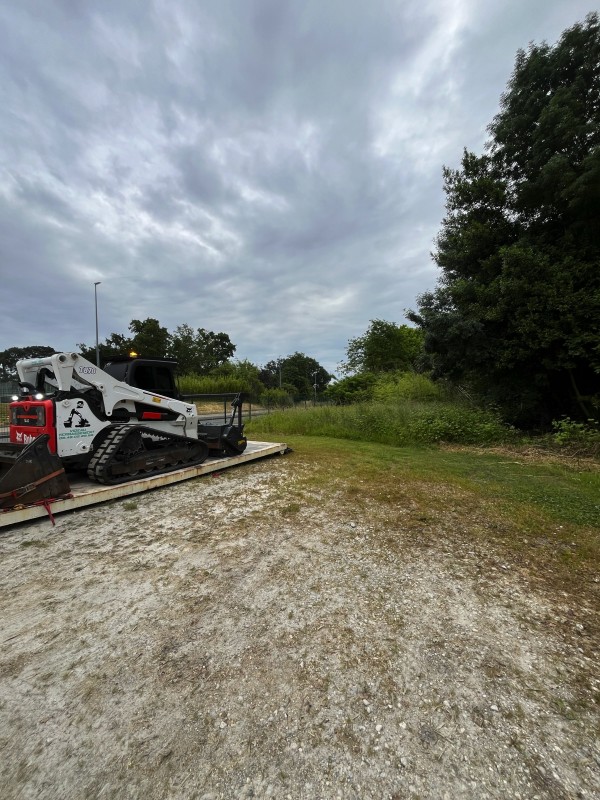 Défrichement de terrain et broyage forestier sur Blanquefort proche de Bordeaux .