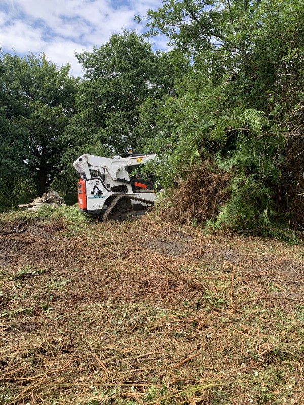 Location chargeuse compacte à chenille pour broyage forestier à La Teste-de-buch en Gironde