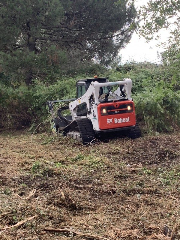 Location chargeuse compacte à chenille pour broyage forestier à La Teste-de-buch en Gironde