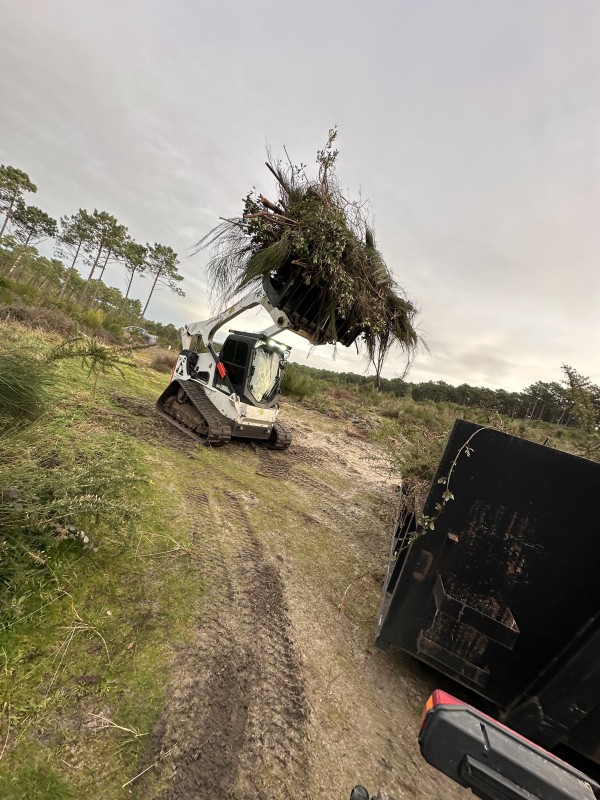 Travaux forestier en Gironde, renforcement digue et plage 