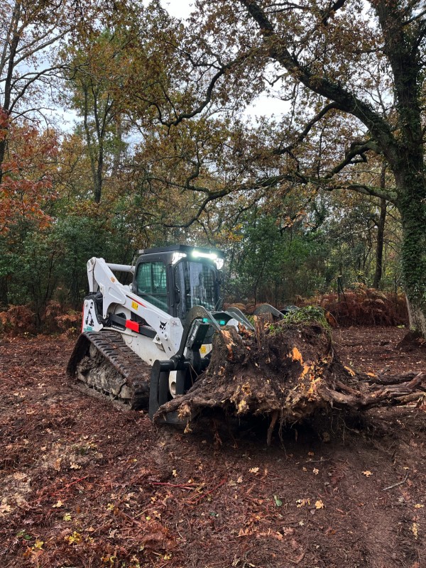 Broyage forestier au Pian Médoc proche de Saint Aubin de Médoc