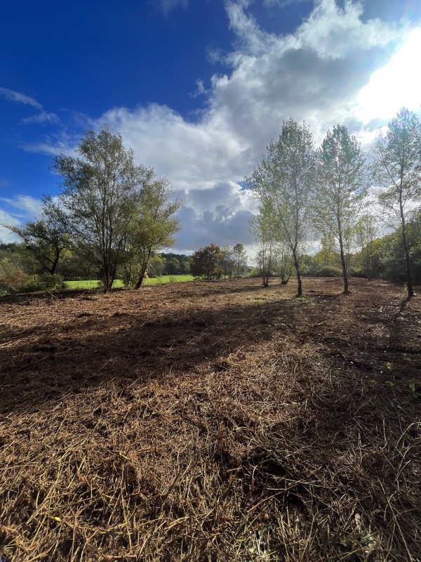 Broyage Forestier d'un terrain à Bordeaux en Gironde