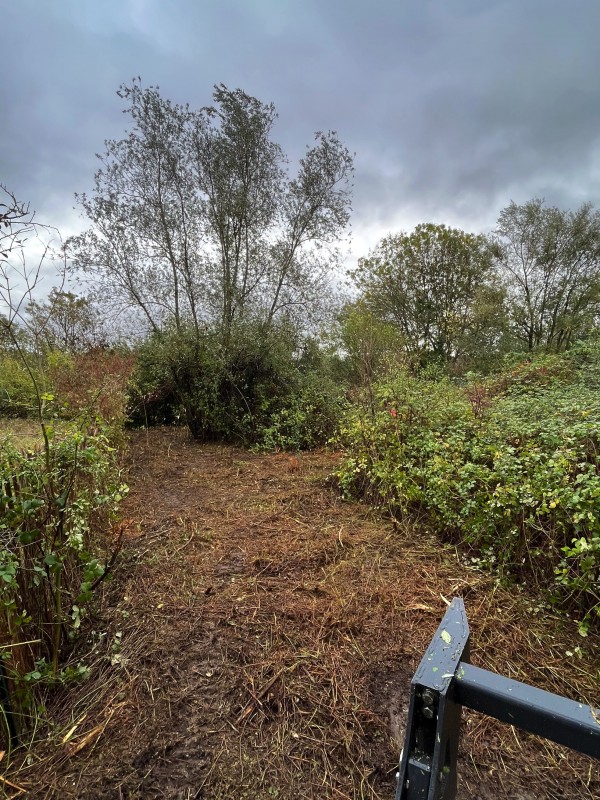 Broyage forestier et nettoyage de terrain à Latresne en Gironde