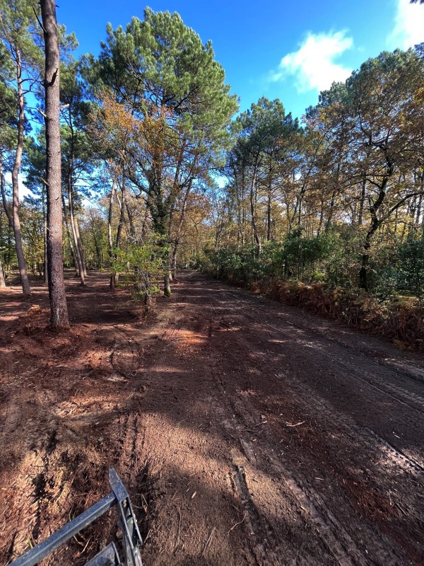Broyage Forestier sur la commune de Cénac en Gironde proche de bordeaux