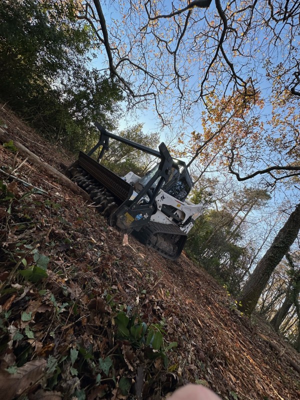 Défrichage de terrain et broyage sur la commune de Lignan de Bordeaux 