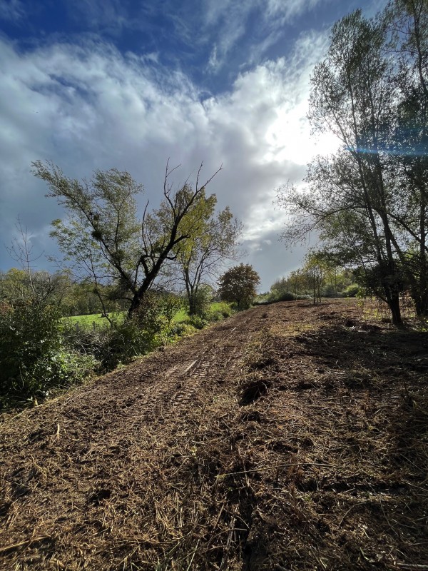 Broyage Forestier d'un terrain à Bordeaux en Gironde