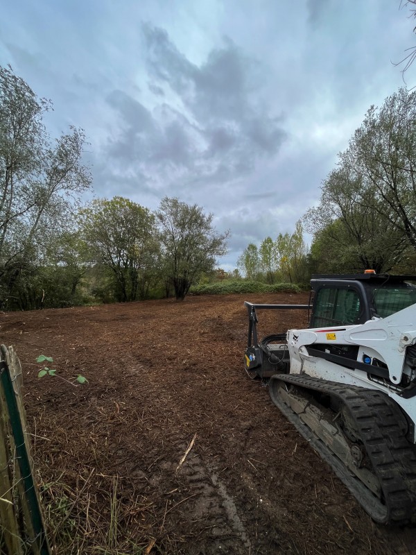 Broyage forestier et nettoyage de terrain à Latresne en Gironde