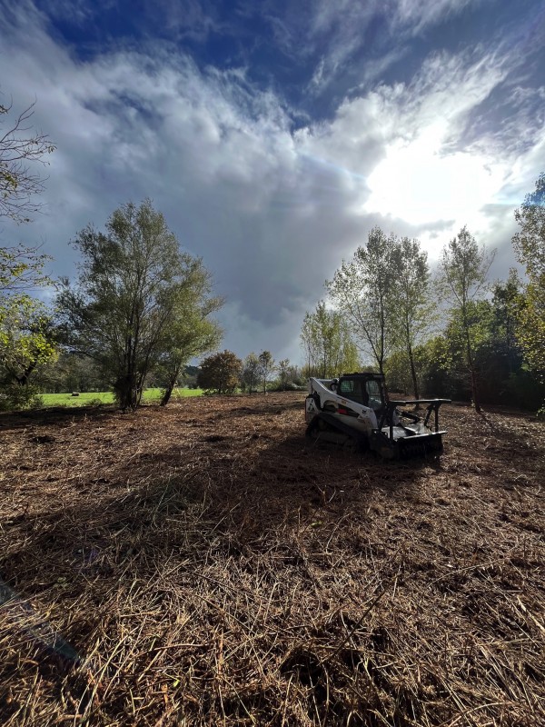 Broyage Forestier d'un terrain à Bordeaux en Gironde