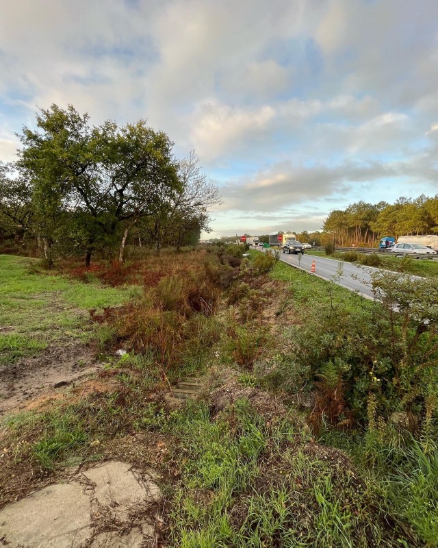 Nettoyage  de terrain, broyage et débroussaillage sur la commune de cestas en Gironde .