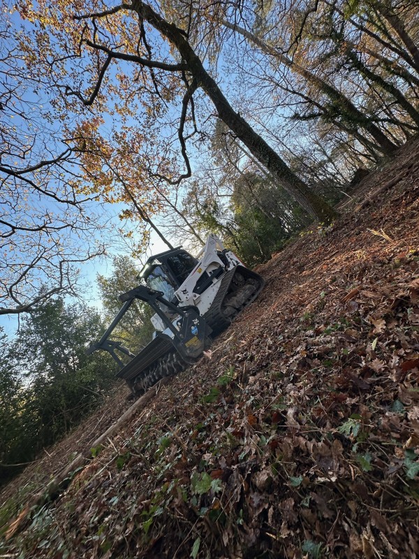 Défrichage de terrain et broyage sur la commune de Lignan de Bordeaux 