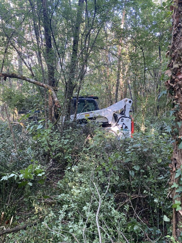 Nettoyage et défrichage d'un terrain à bâtir au Pian Médoc en Gironde