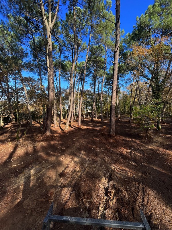 Broyage Forestier sur la commune de Cénac en Gironde proche de bordeaux