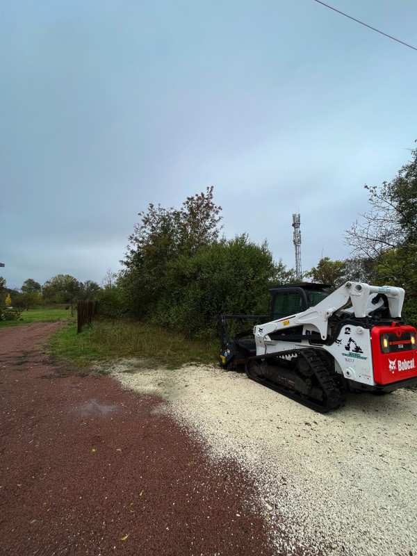Broyage forestier et nettoyage de terrain à Latresne en Gironde