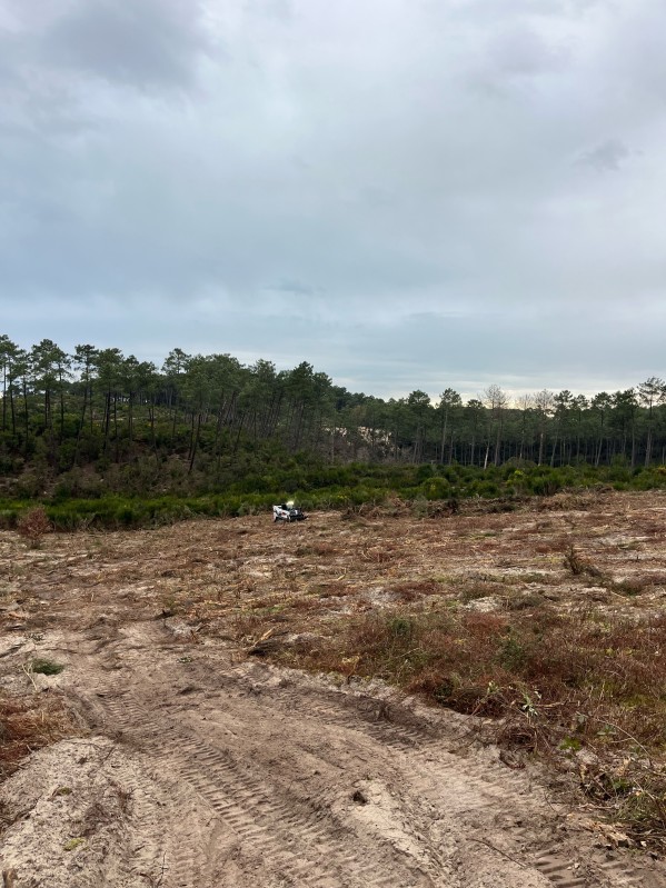 Travaux forestier en Gironde, renforcement digue et plage 