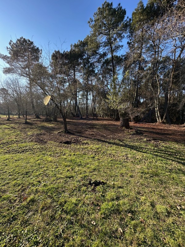 Entretien forestier sur la commune de Saint aubin de médoc et broyage forestier . 