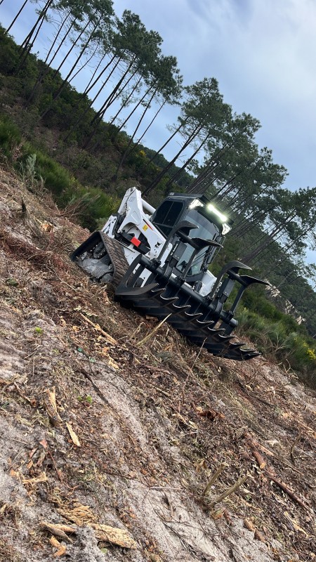 Travaux forestier en Gironde, renforcement digue et plage 