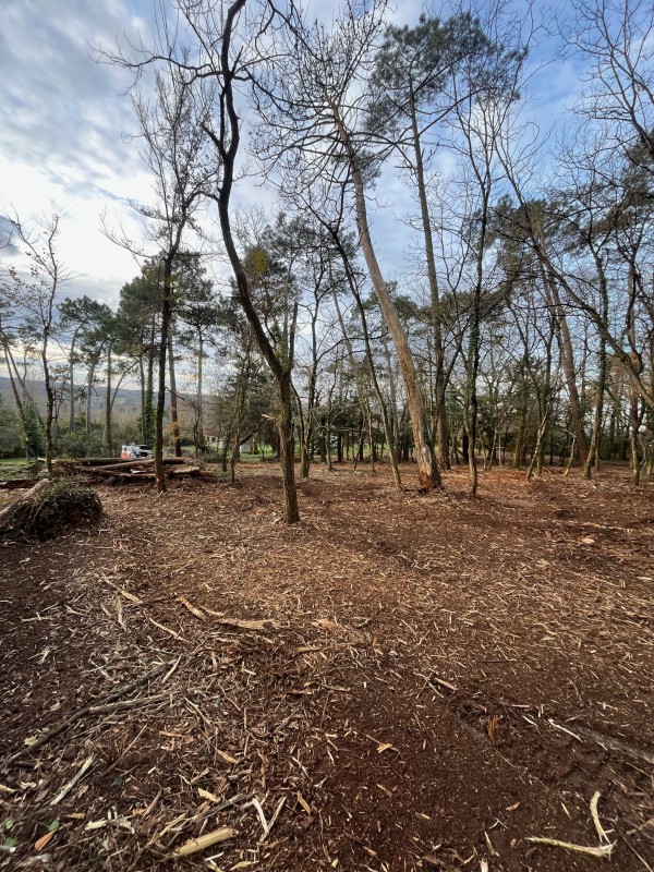 Défrichage de terrain et broyage sur la commune de Lignan de Bordeaux 