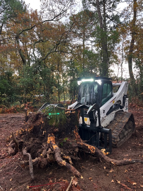Broyage Forestier sur la commune de Cénac en Gironde proche de bordeaux