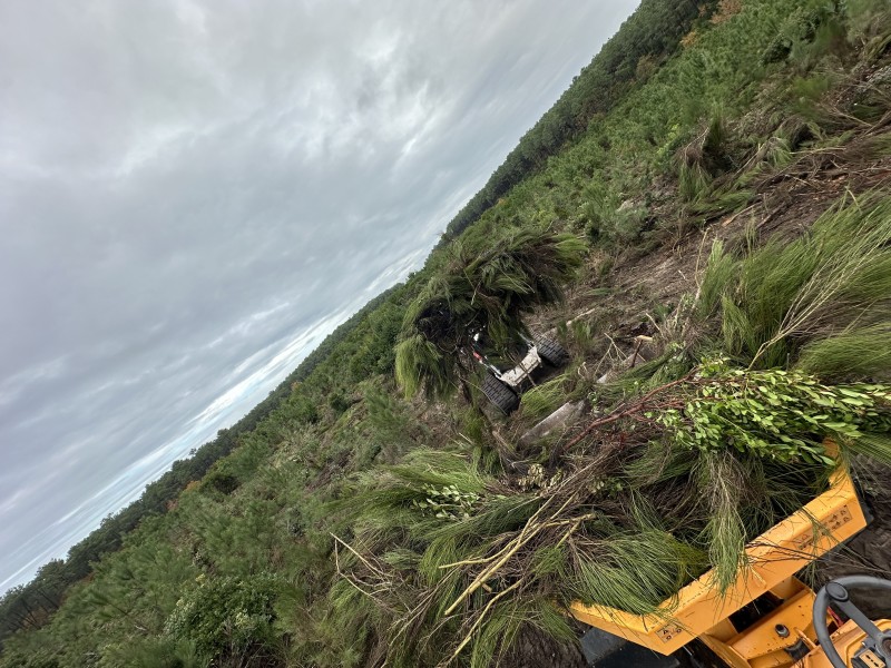 Travaux forestier sur la commune du Cap ferret proche de Bordeaux 