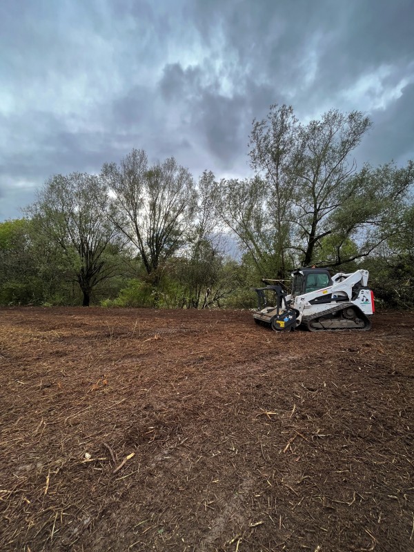 Broyage Forestier d'un terrain à Bordeaux en Gironde
