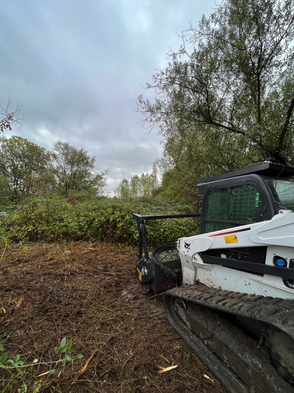 Broyage forestier et nettoyage de terrain à Latresne en Gironde