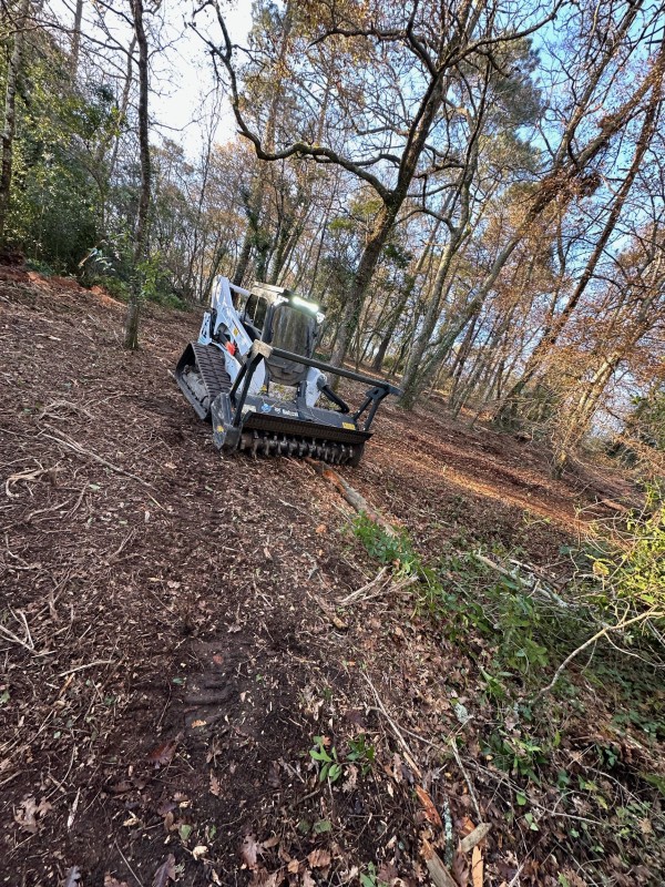Défrichage de terrain et broyage sur la commune de Lignan de Bordeaux 