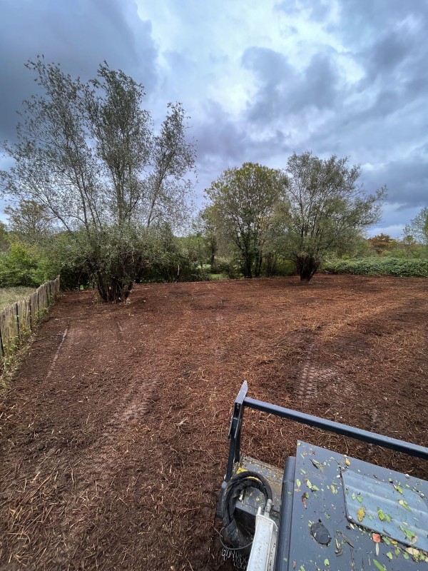 Broyage forestier et nettoyage de terrain à Latresne en Gironde