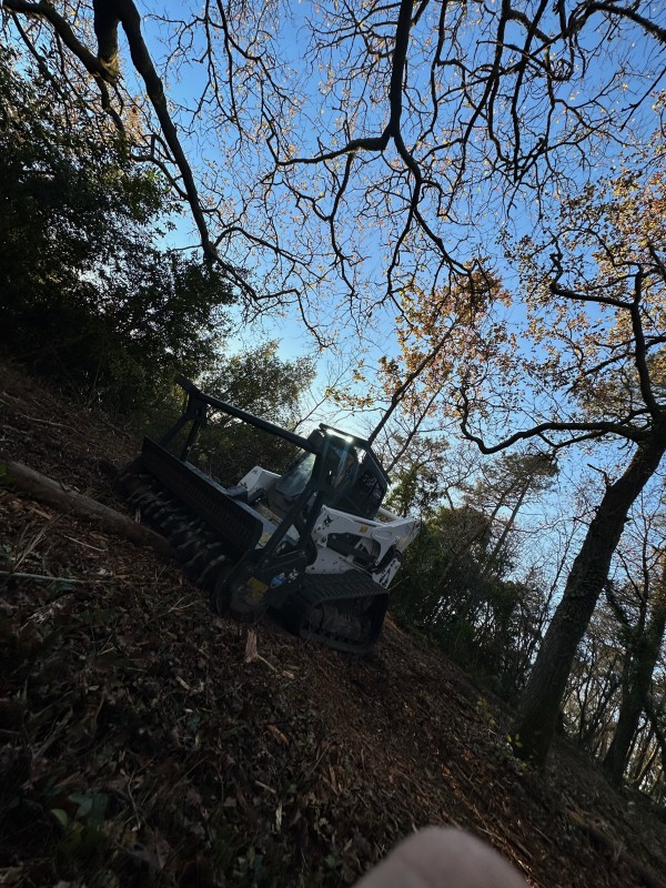 Défrichage de terrain et broyage sur la commune de Lignan de Bordeaux 